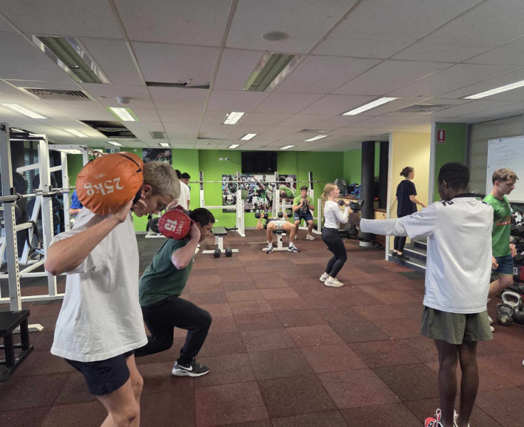 Copy of DA - Gallery - Next Level